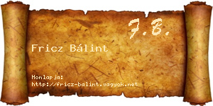 Fricz Bálint névjegykártya